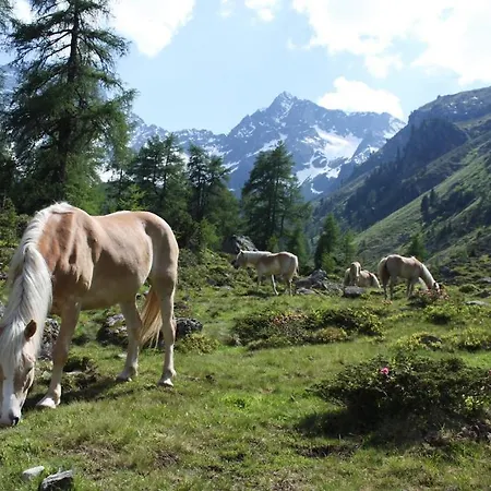 Casa de hóspedes Haus Kirschner 3*