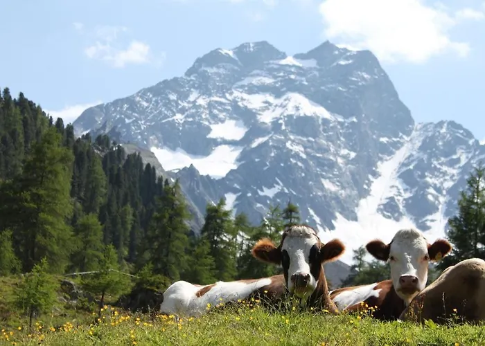 Affittacamere Haus Kirschner Jerzens