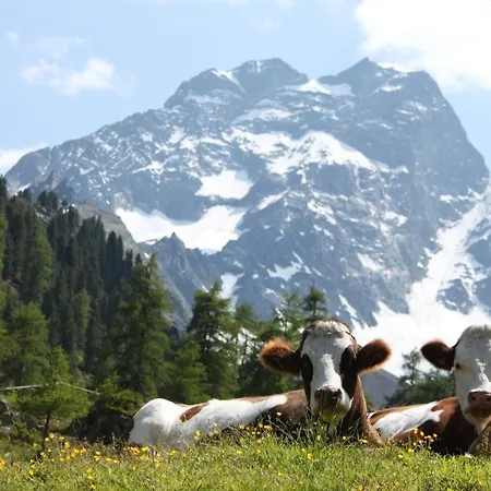 Πανσιόν Haus Kirschner Jerzens