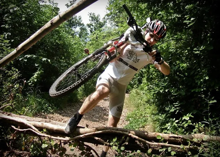 Haus Kirschner יארצנס