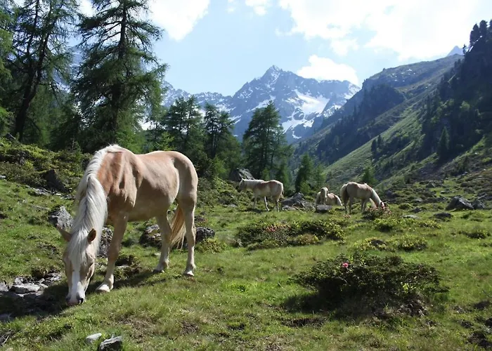 Vendégház Haus Kirschner 3*